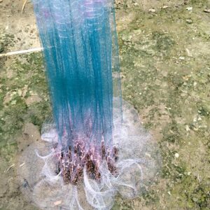 China fishing net - রগ সুতার ঝাকি জাল বা খেপলা জাল